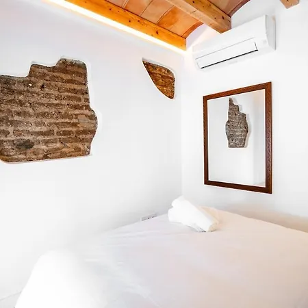 House In The Old Town Of With Private Pool And Free Parking Apartment Marbella